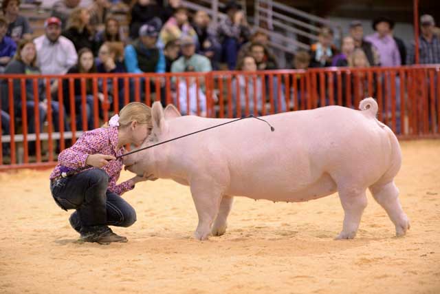 San Antonio Stock Show & Rodeo - FEBRUARY